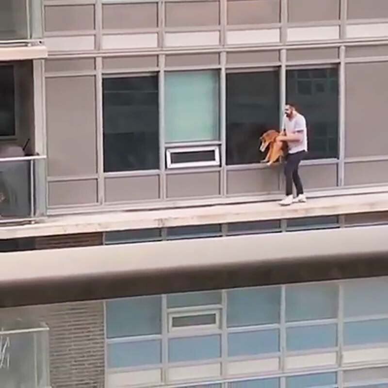 В Торонто мужчина прошёлся по карнизу высотки, чтобы спасти своего