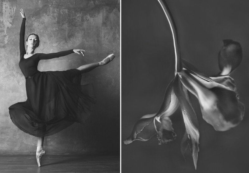 Балерина и цветы – серия о сходстве двух изяществ