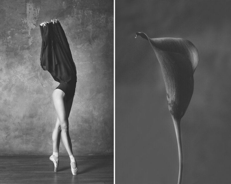 Балерина и цветы – серия о сходстве двух изяществ