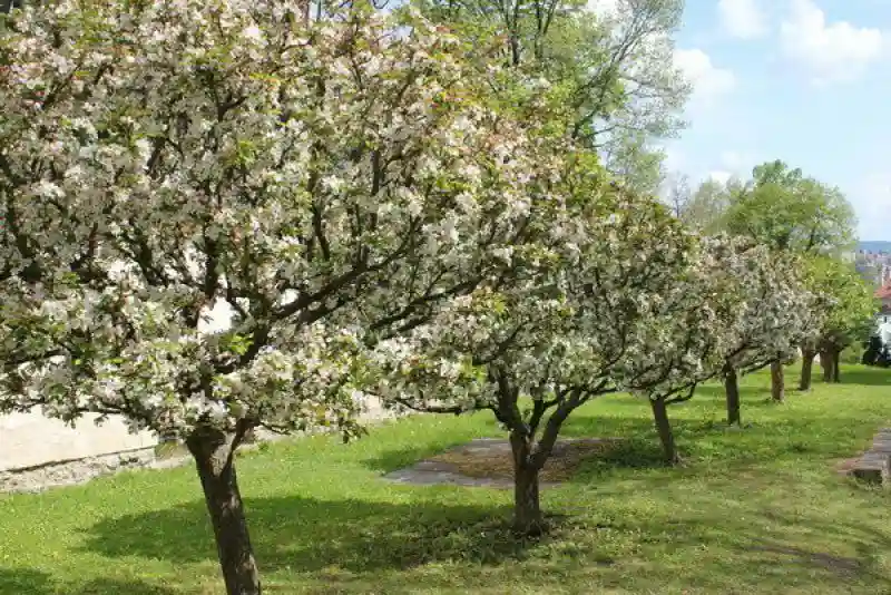 Чески Крумлов. Верхний парк