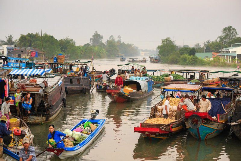 Почему Меконг называют азиатским Дунаем?