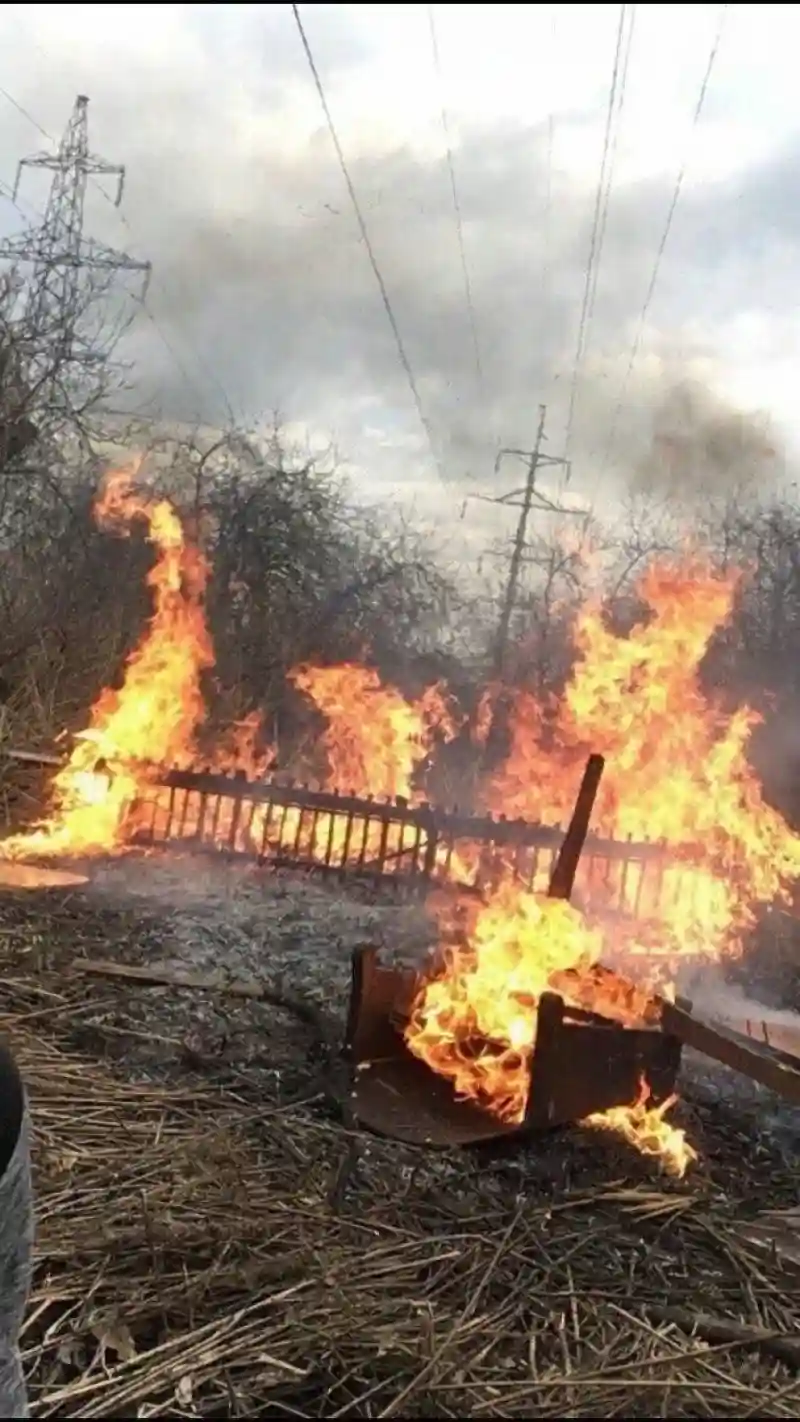 Вписка на даче закончилась, не успев начаться