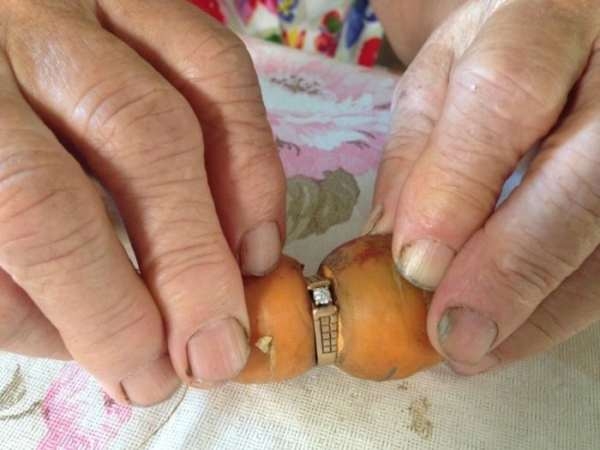 Потерянное 13 лет назад бриллиантовое кольцо было найдено на моркови