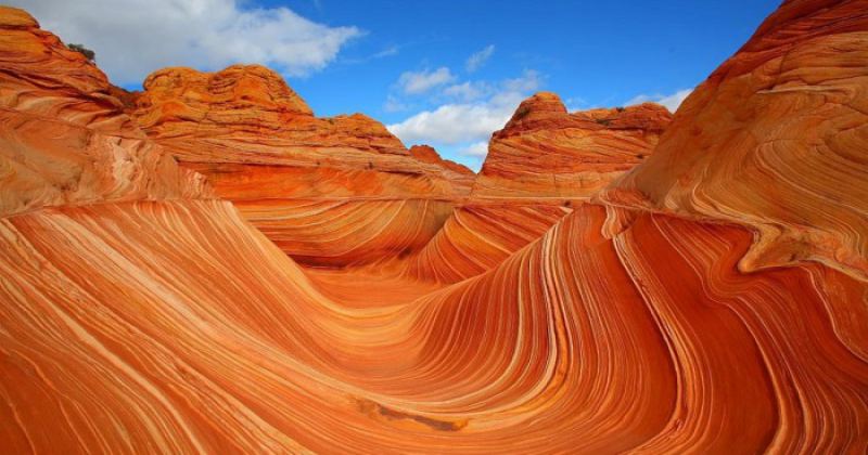 «Аризонская волна»: уникальный песчаный заповедник США (8 фото)