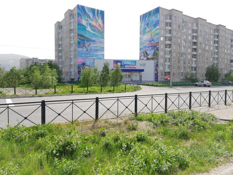 Девятиэтажки города Мончегорск