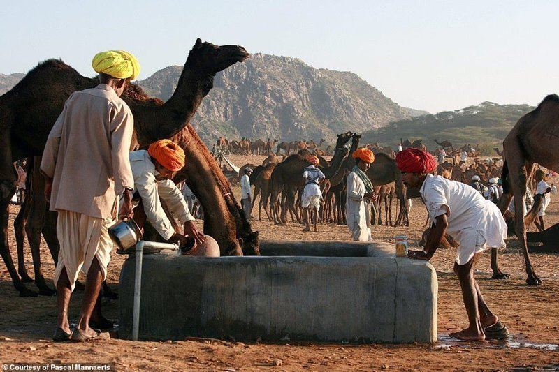 Фотографии из реальной жизни: как в разных точках мира относятся  к запасам чистой питьевой воды