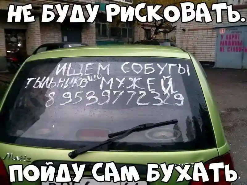 Автовсячина