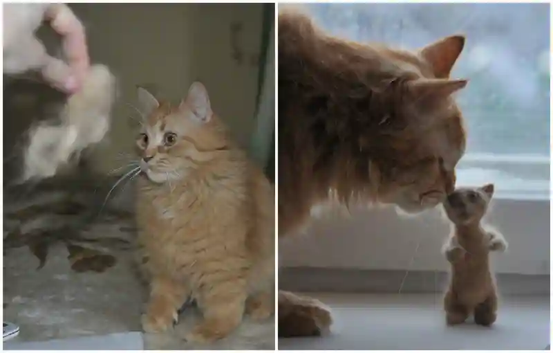 Кошачье рукоделие: из вычесанной шерсти кота сделали его мини-версию