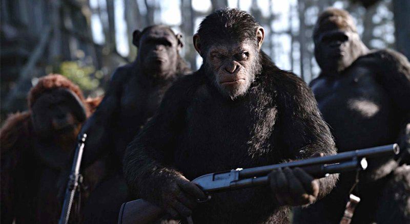 Обезьяний геноцид: чем мы отличаемся от шимпанзе?