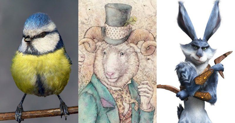 Смелые зайцы и умные овцы: мифы и парадоксы животного мира