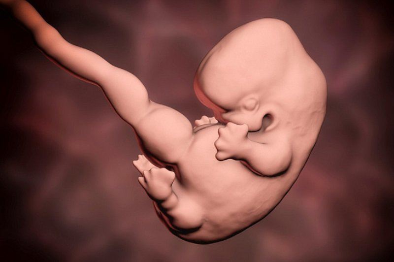 Ученые научились находить патологии у эмбриона на первых неделях беременности