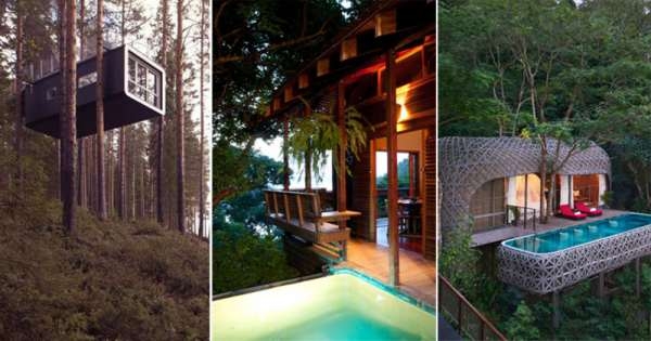 10 экзотических отелей на деревьях