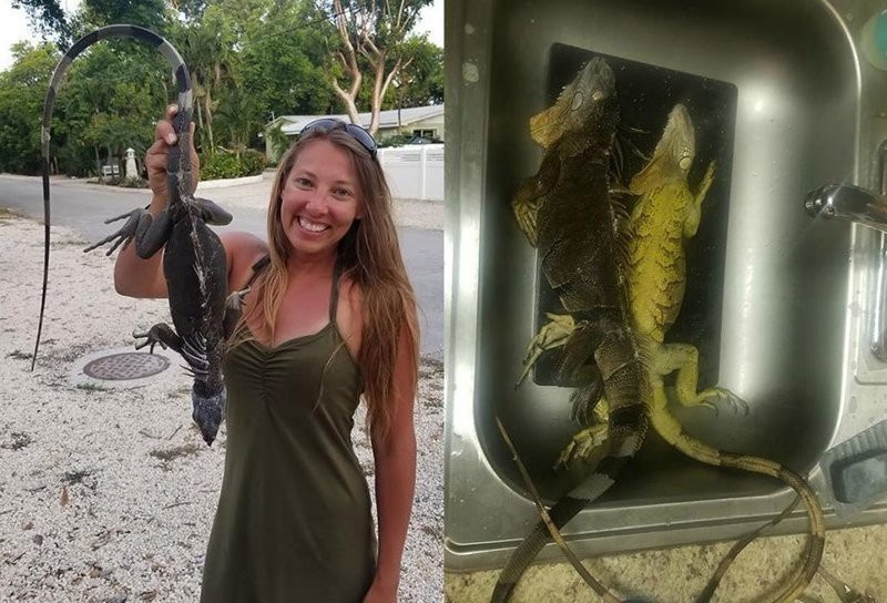 Охотница за игуанами: жительница Флориды ловит рептилий и добавляет их мясо в буррито