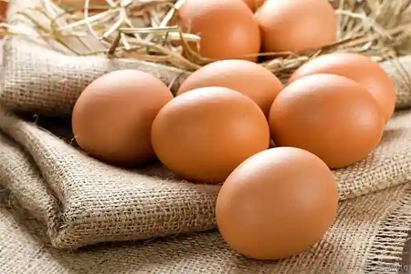 История Яйца