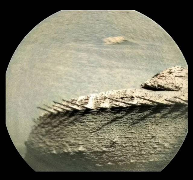 Скелет рыбы на Марсе
