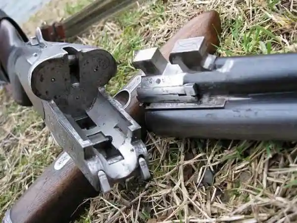 Трехствольное ружье Sauer-3000