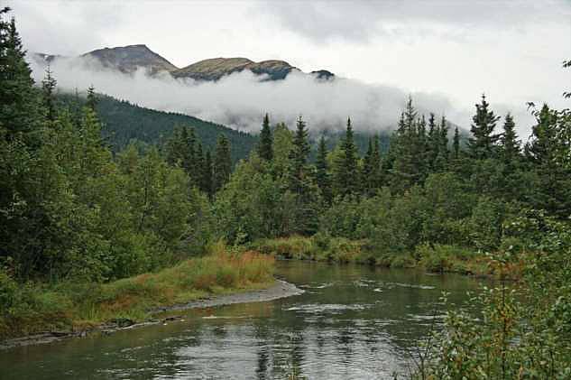 окрестности горы Цаагваа. Природа Аляски