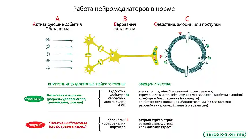 Почему не работает кодировка при алкоголизме?