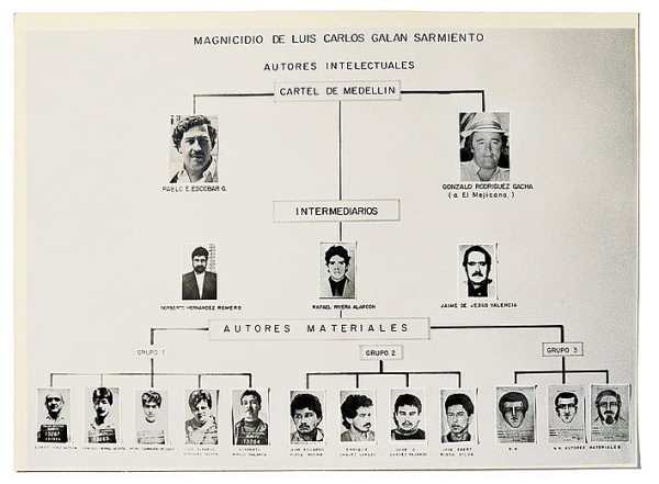 Структура Медельинского кокаинового картеля